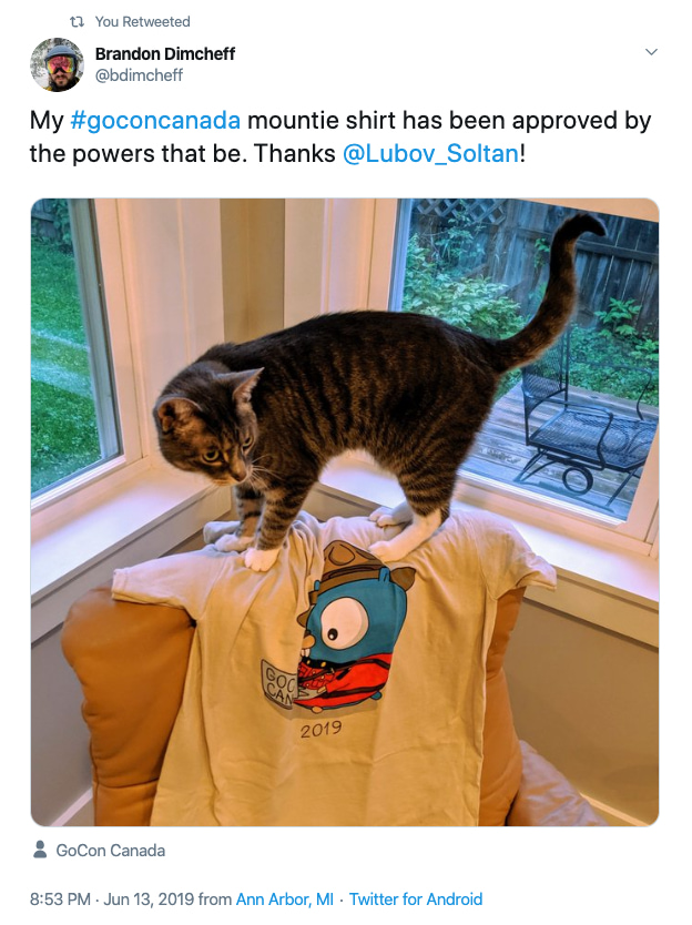 Photo gocon t-shirt from twitter hanging on a chair and a cat stands on top of it.