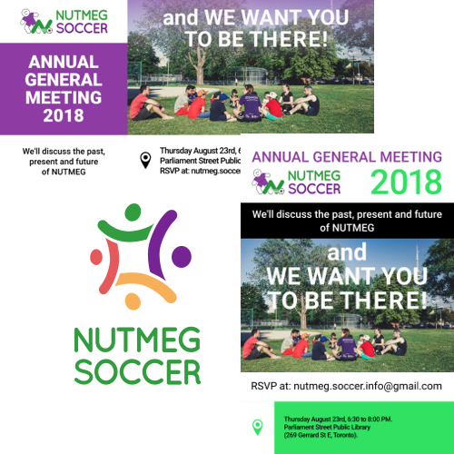 Nutmeg Soccer colour variations